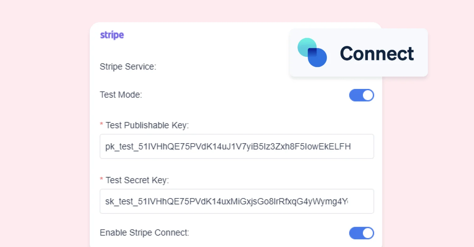 Stripe Connect Integration pink Stripe Connect Integration pink
